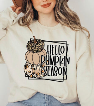 "Hello Pumpkin Season" (sand) plus sweatshirt