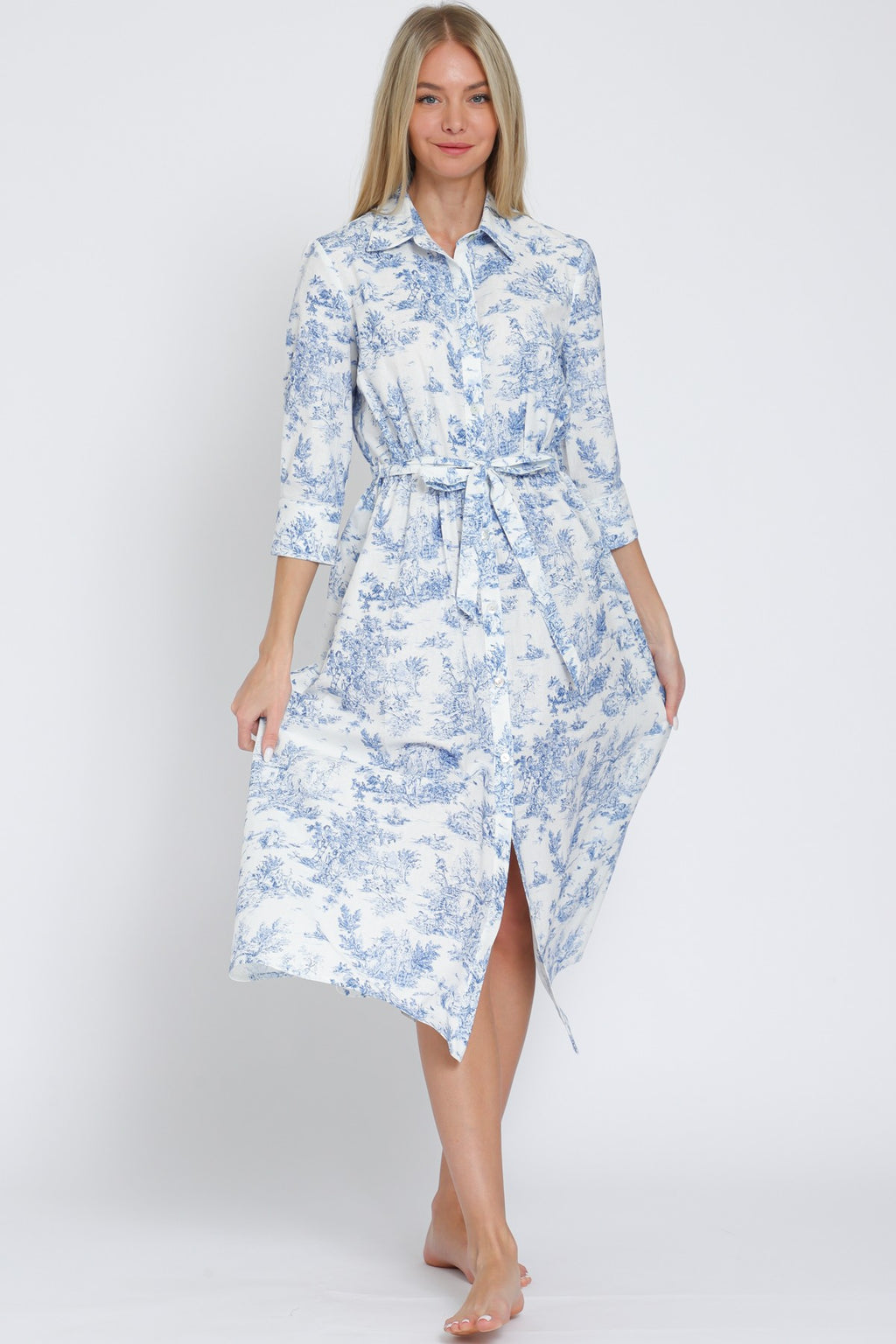 Toile and Blue" Dress