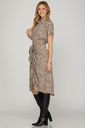 "Wild About Fall" dress