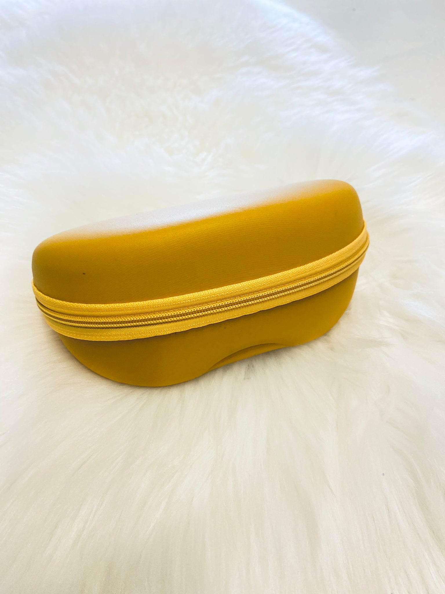 Golden Rays Sunglass Case